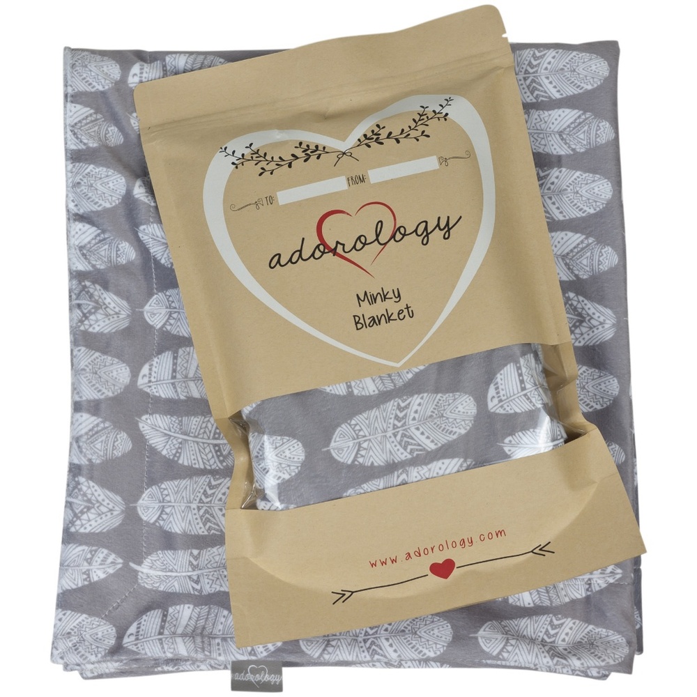 Minky Toddler Blanket Baby Shower Gift Gry Feather